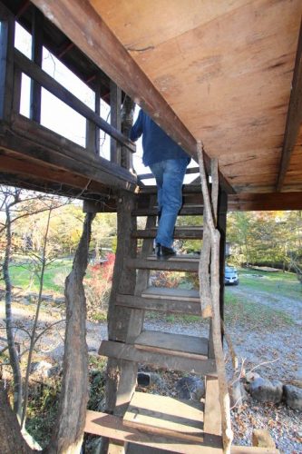 diyでツリーハウスを30棟建てたひと ワクワク賃貸 diyでツリーハウスを30棟建てたひと ワクワク賃貸