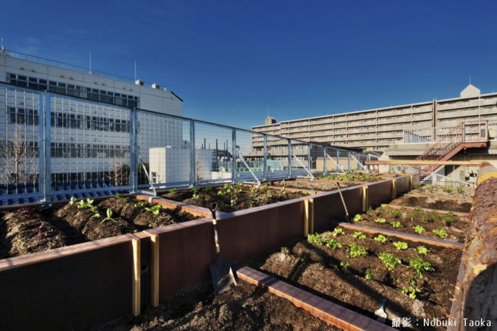 家庭菜園に 畑賃貸 （気分爽快！天空の畑付き賃貸住宅～屋上に