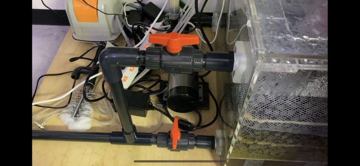 アクアリスト向け賃貸 アクアハウス ショールームの大型水槽を大改造 垂れ流し方式にして水替え不要にしました 楽しいコンセプトのある賃貸住宅を紹介するウェブマガジン ワクワク賃貸